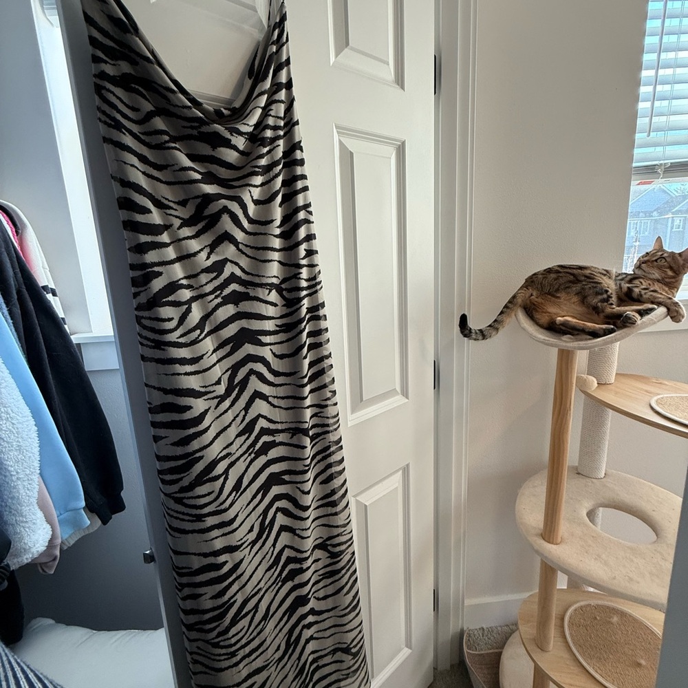 Zebra Print Maxi Dress Zara